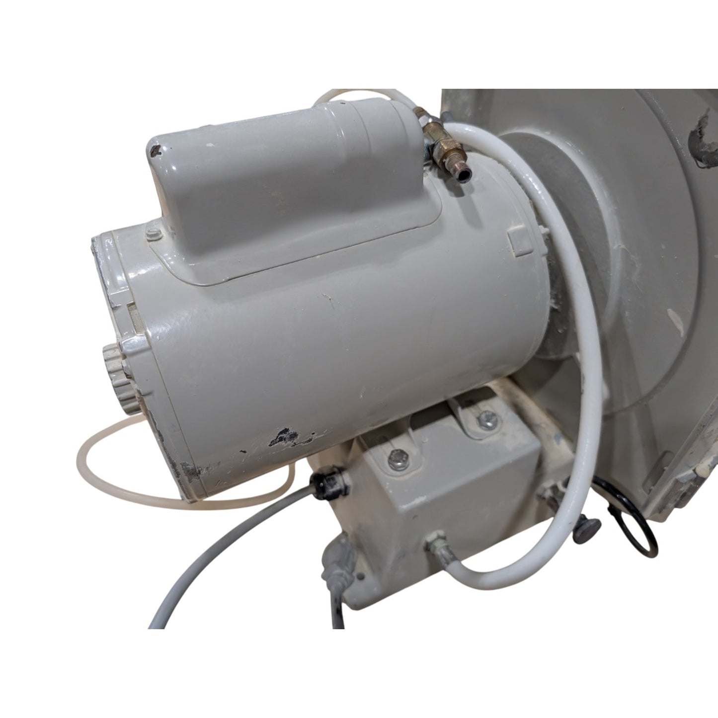 Whip Mix Model Trimmer